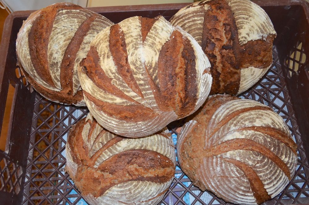 Backtag in Beeden 2.jpg