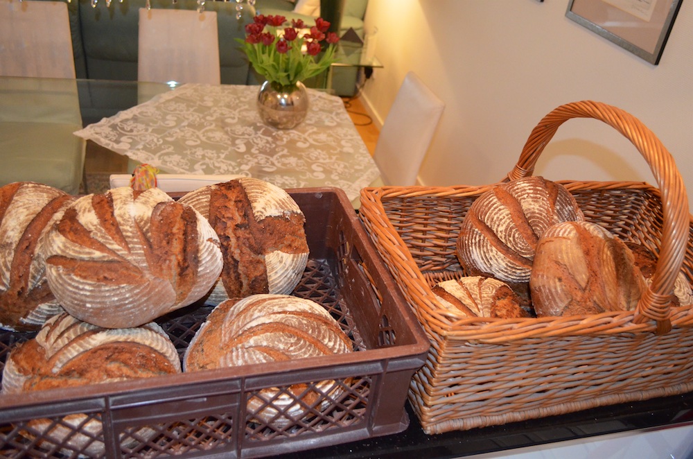 Backtag in Beeden 4.jpg