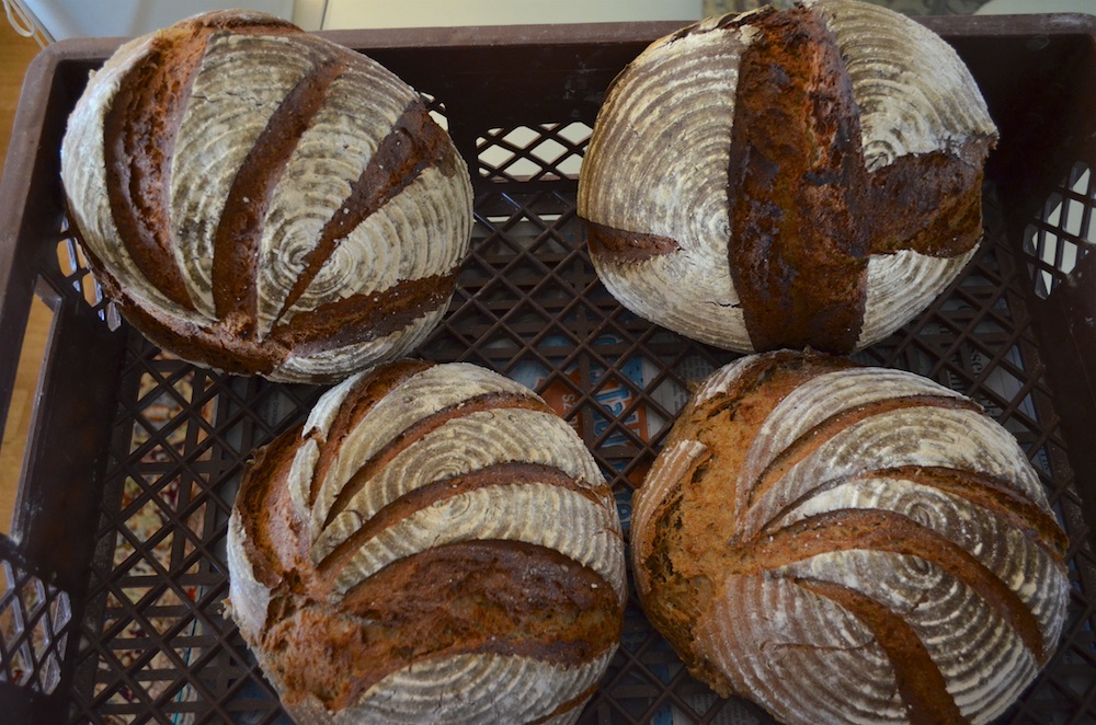 Backtag in Beeden 5.jpg