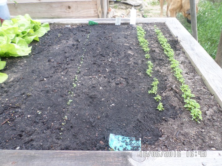 SAM_5673 - Kopie.JPG