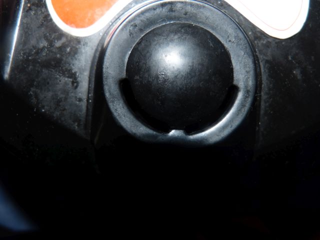 P1020105.JPG
