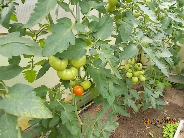 DSCN1671.JPG