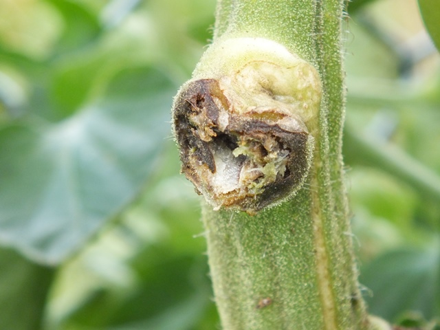 DSCF5318.JPG