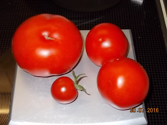 DSCN1685.JPG