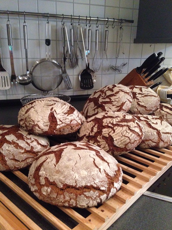 Roggenbrot.jpg