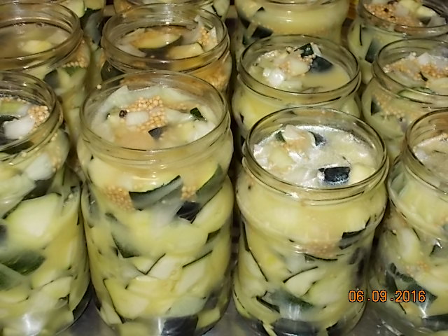 Zucchini-Matjes-001.JPG