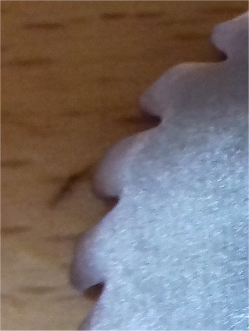 Image2.jpg