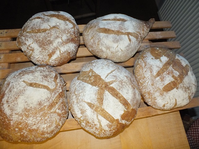 DSCF5832 - Kopie.JPG