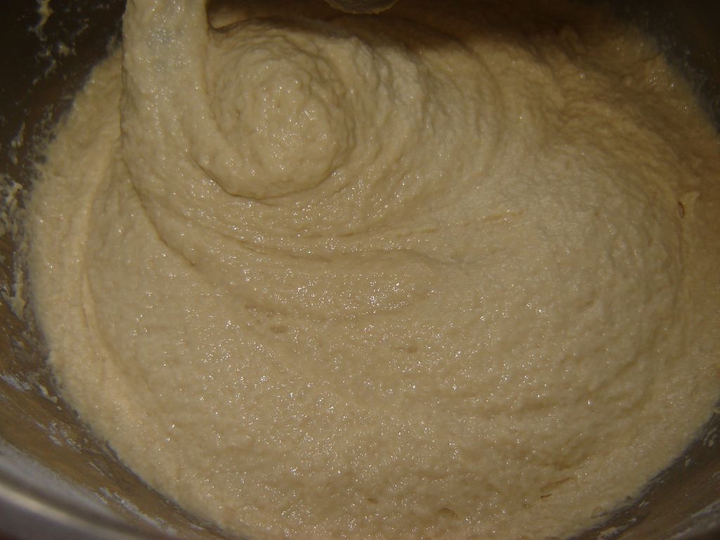 Siegerländer_Reibekuchen_16-11-04_01.jpg