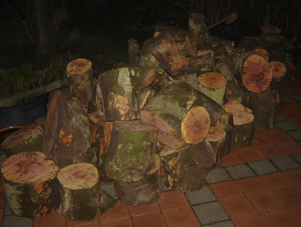 Brennholz.jpg