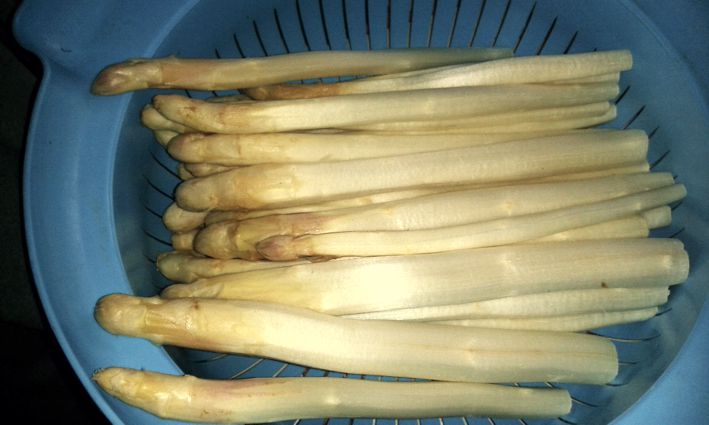 20170411_093724.jpg