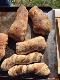 Ciabatta etc.