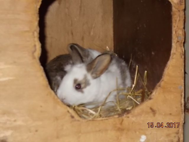 DSCN2183.JPG