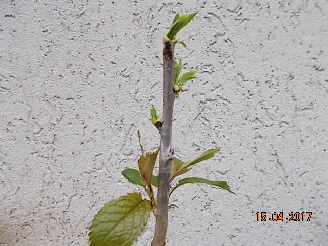 DSCN2176.JPG