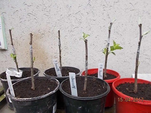 DSCN2178.JPG