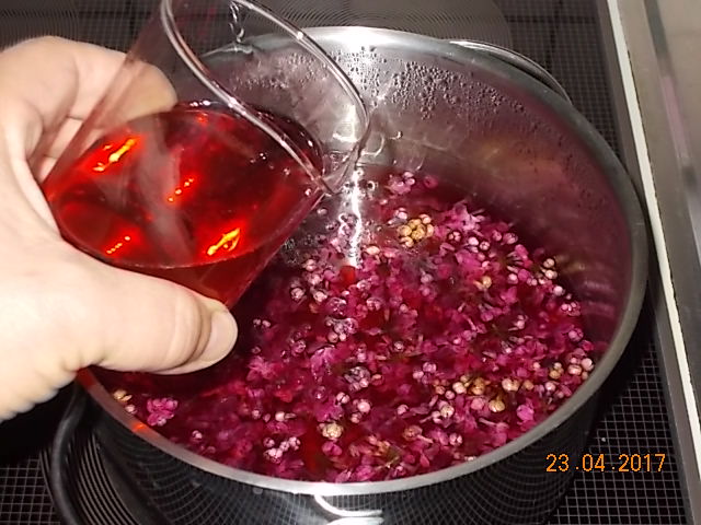 DSCN2229.JPG