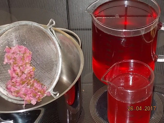 Fliederblütensirup 2017-001.JPG