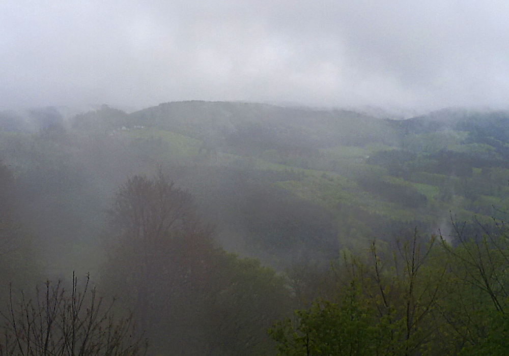 20170501_113517.jpg