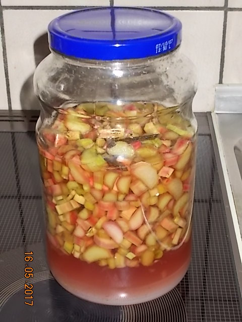 DSCN2240.JPG