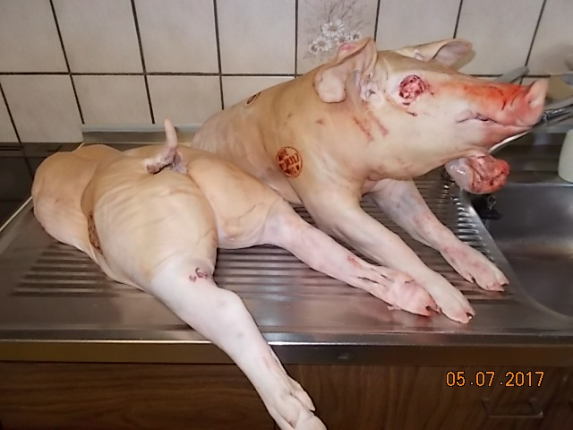 Spanferkel 19,67kg.JPG