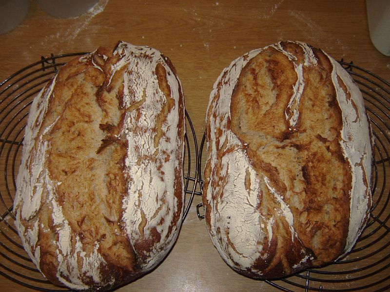 brot06.jpg