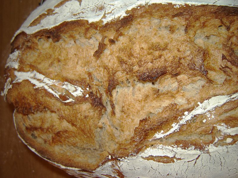 brot07.jpg