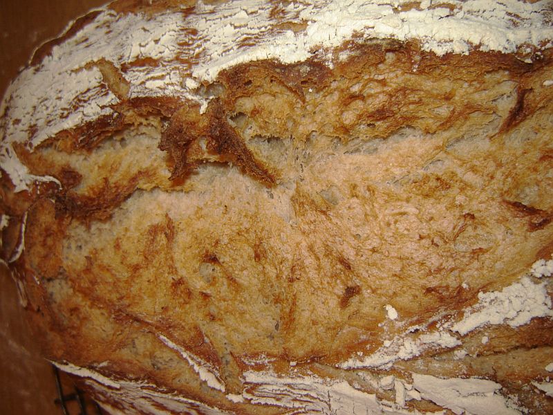 brot08.jpg
