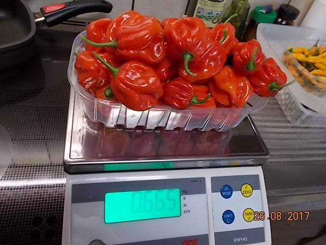 DSCN2502.JPG