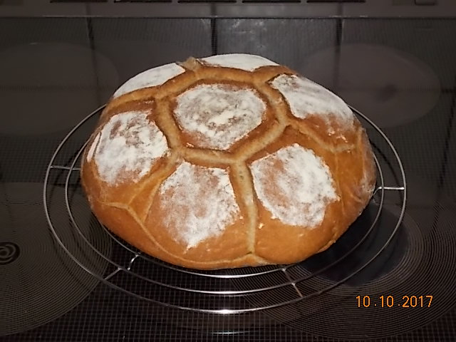 DSCN2581.JPG