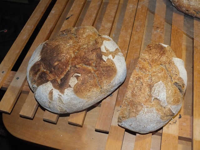DSCF7288 - Kopie.JPG