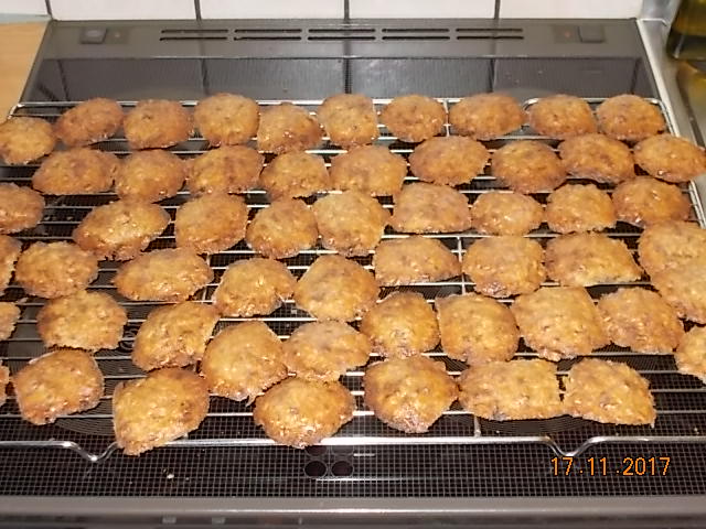 Haferflockenkiacherl 2017-003.JPG