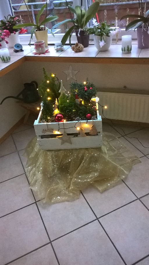 WP_20171217_09_00_17_Pro.jpg