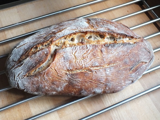 DSCF7327 - Kopie.JPG