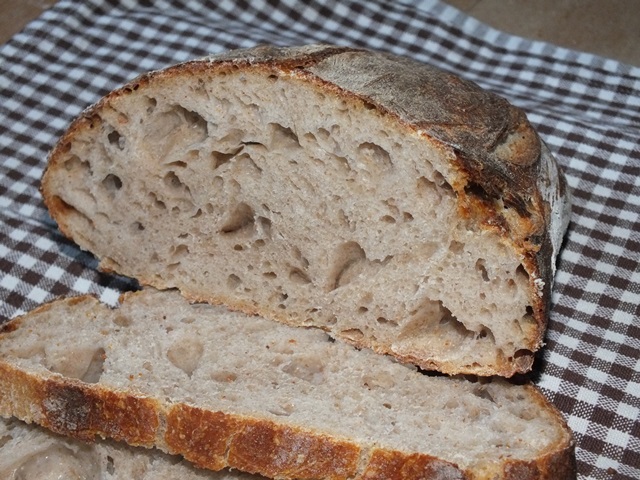 DSCF7332 - Kopie.JPG