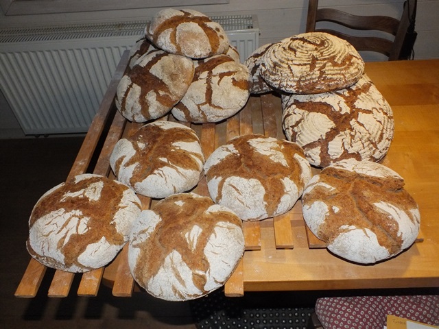 DSCF7334 - Kopie.JPG