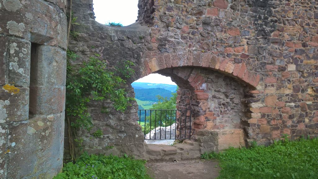 WP_20180602_11_40_36_Pro 2.jpg