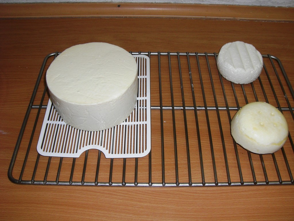 Käse 053.jpg