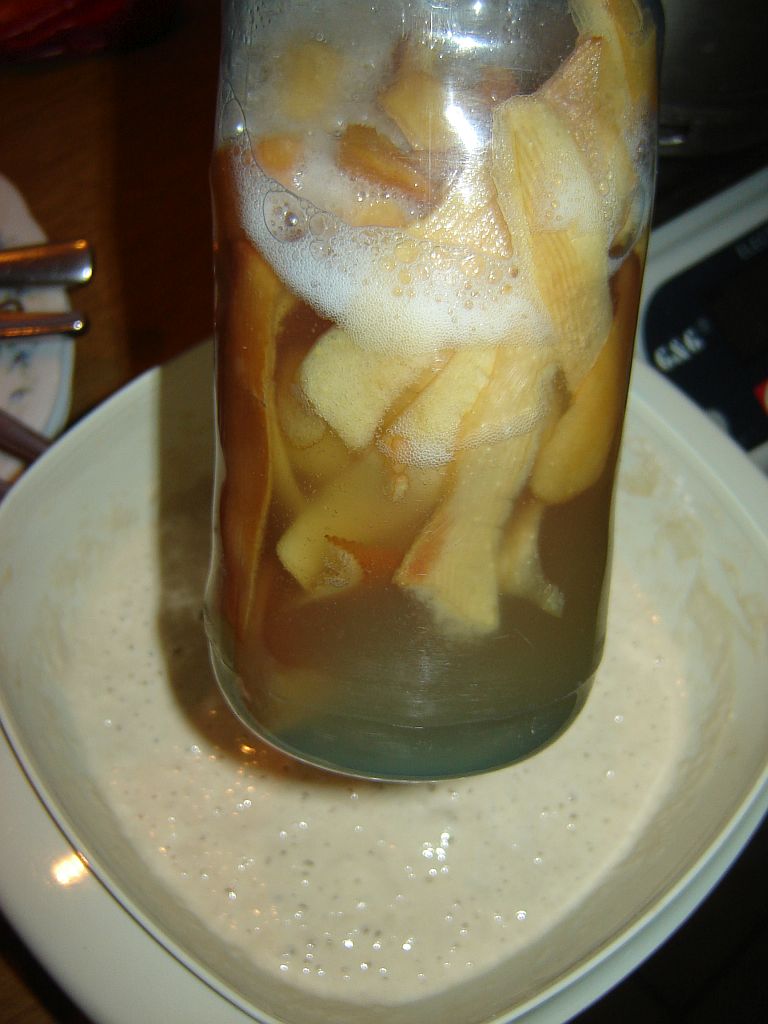 Wildhefe_Dinkel_01.jpg