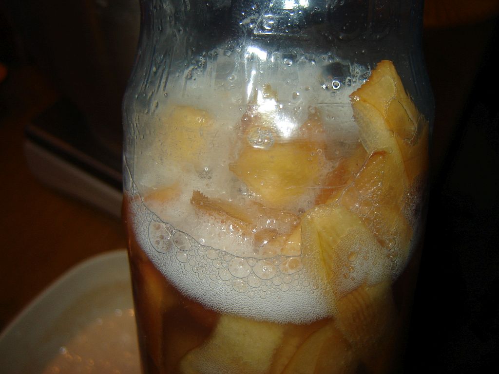 Wildhefe_Dinkel_02.jpg