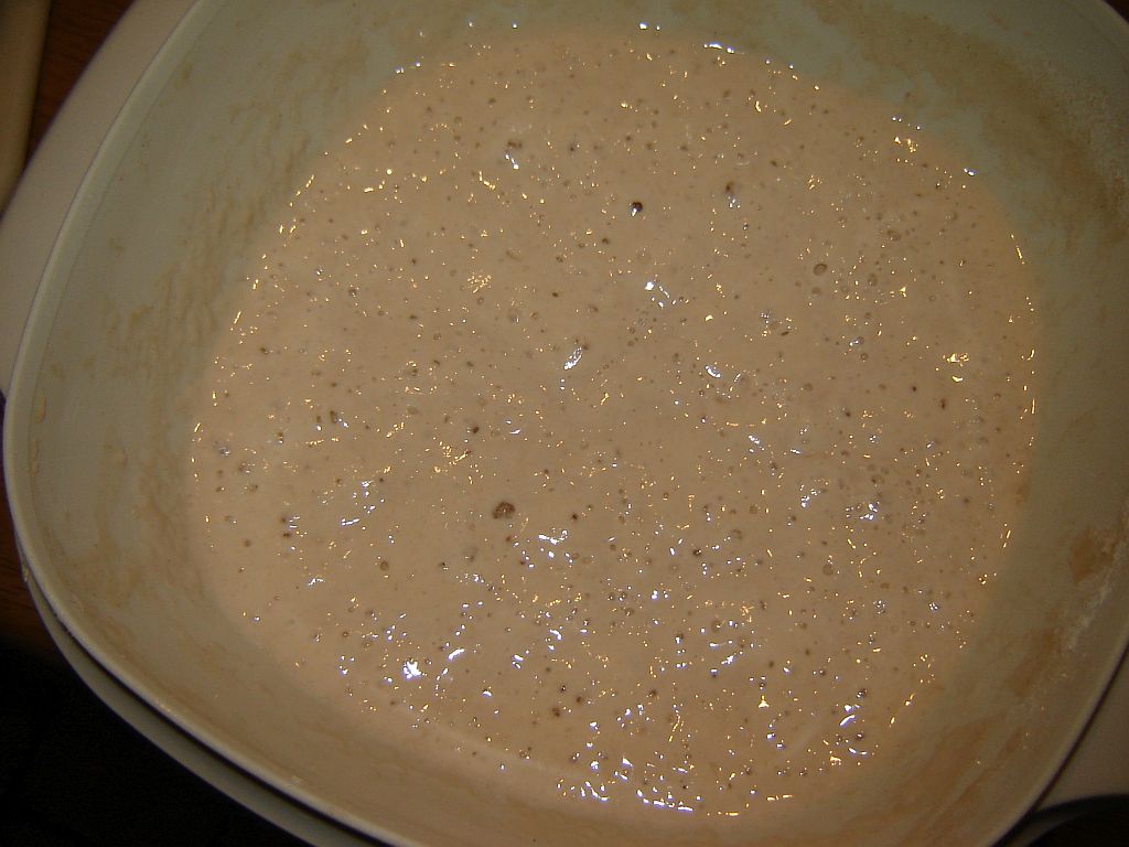 Wildhefe_Dinkel_03.jpg