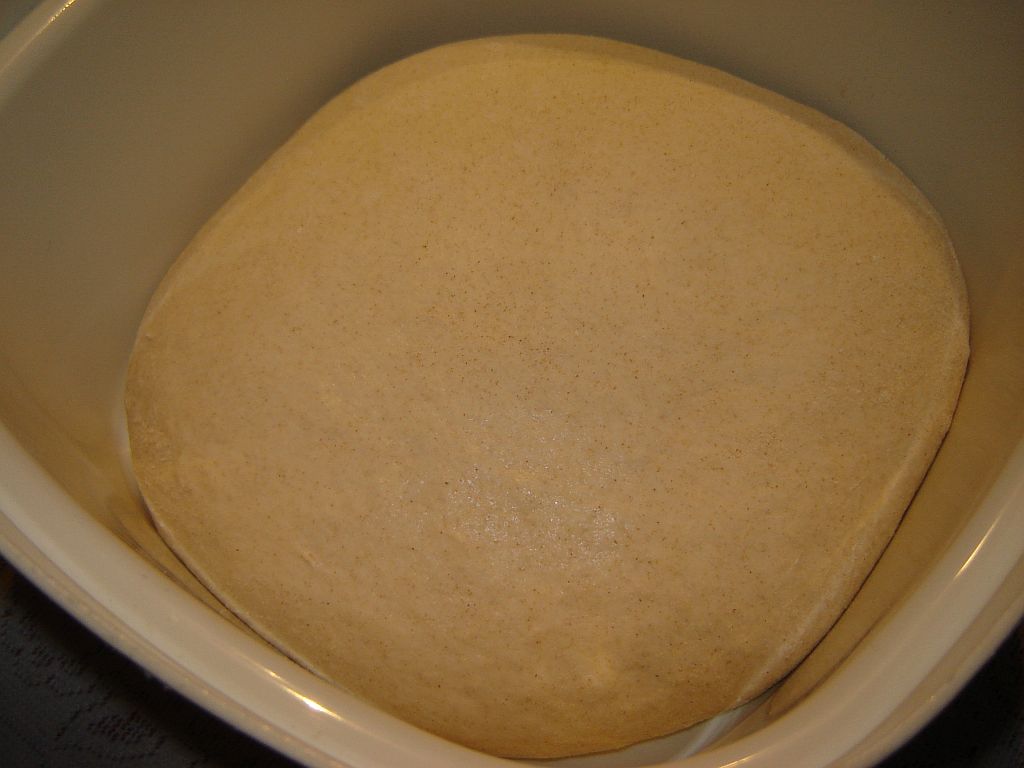 Wildhefe_Dinkel_04.jpg
