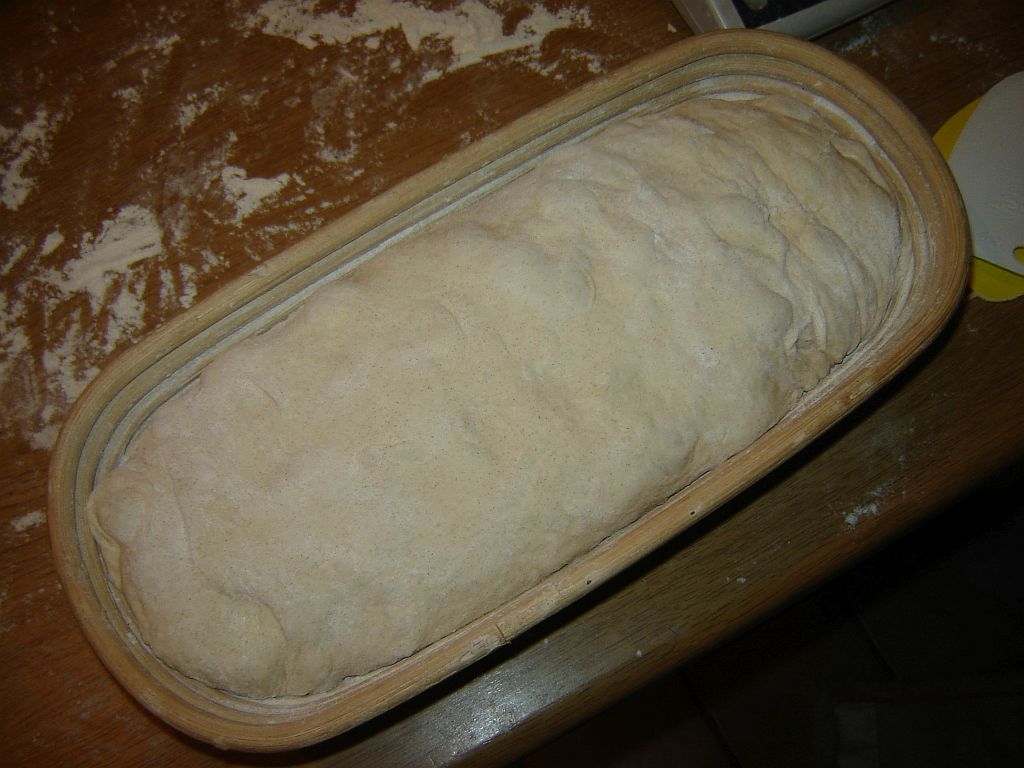 Wildhefe_Dinkel_05.jpg