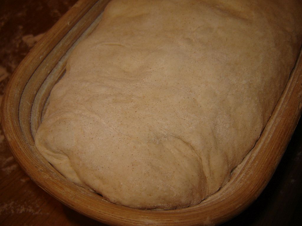 Wildhefe_Dinkel_06.jpg