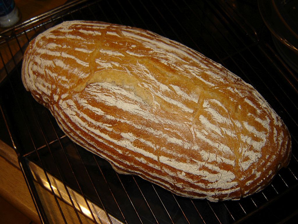 Wildhefe_Dinkel_07.jpg