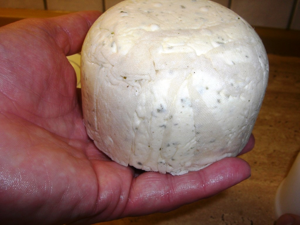 käse2 007.jpg