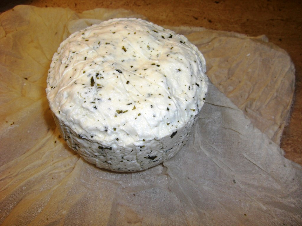 käse2 009.jpg