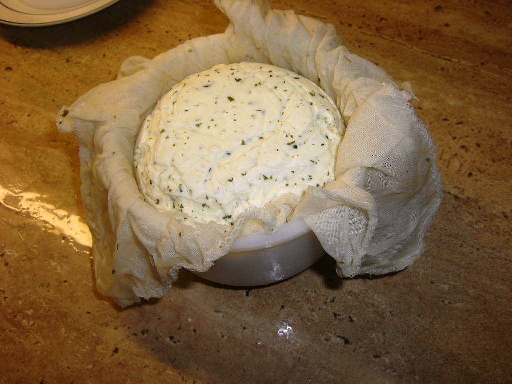 käse2 011.jpg