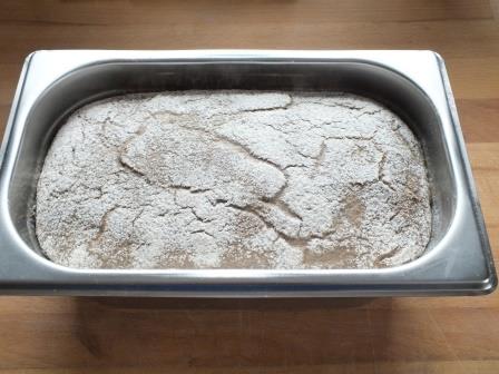 DSCF8688 - Kopie.JPG