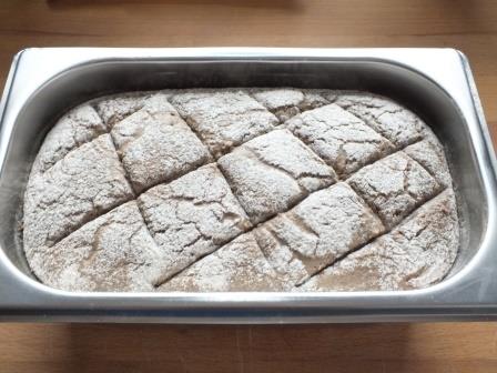 DSCF8689 - Kopie.JPG