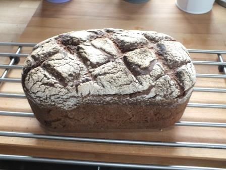 DSCF8692 - Kopie.JPG